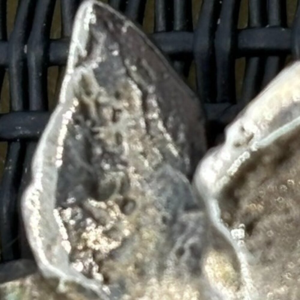 Sterling Silver Basket of Flowers Pin, James.H. Breakell, Newport, R.I., Signed - Picture 8 of 11